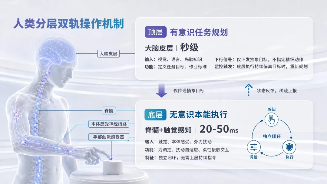AG贵宾厅详情图